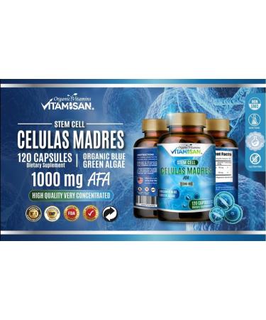 VITAMISAN Celulas madres 4 Bottles 1000mg Stem Cell Plus 480 Capsules Non-GMO Gluten-Free - Buy Online on GoSupps.com