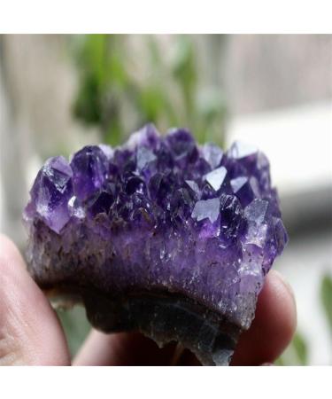 Natural Mini Amethyst Raw Crystal Cluster ERBDRGAZ (Size : 100-150) - Buy Online on GoSupps.com