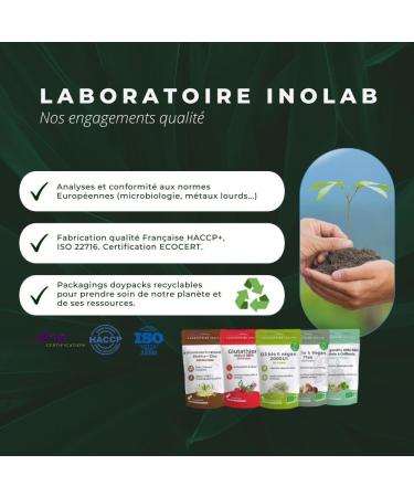 INOLAB Glutathione 400mg NAC Milk Thistle Acerola Bio - GASTRO RESISTANT Capsules Optimized assimilation - Glutathione with Bio Fe - Buy Online on GoSupps.com