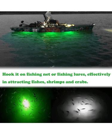 Rojuna 10 Pack Fishing Deep Drop Light LED - Colorful Flashing Strobe Lights for Underwater Fishing - Waterproof Diamond Lure for Saltwater and Freshwater Tuna - Buy Online on GoSupps.com