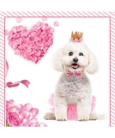Nicoone Dog Tutu Rock Fly Crown Hat Set | Cute 3-Piece Outfit for Small Dogs & Cats | Perfect Dog Party Gift - Buy Online on GoSupps.com