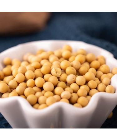 Bio Soybeans 1.8 kg | Untreated Plastic-Free & Eco-Sustainable | S ssundclever.de - Premium Austrian Quality - Buy Online on GoSupps.com