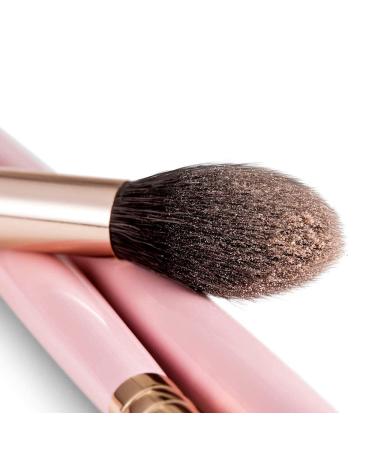 Buy Energy 10-in-1 Pink Eyeshadow Brush Set | Complete Makeup Brush Set for Eyeshadow Eyebrow Eyeliner & Highlighter - Buy Online on GoSupps.com