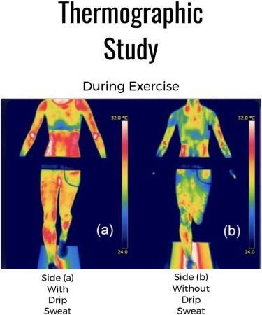 ASF Brands DRIP Sweat - Natural Thermogenic Workout Enhancer for Slimming & Toning - Buy Online on GoSupps.com