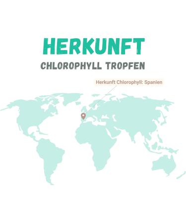 Premium Chlorophyll Drops 50ml - 200mg Alfalfa Extract | Vegan GMO-Free Laboratory Tested | High Dosage for Optimal Health - Buy Online on GoSupps.com
