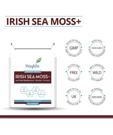 Organic Sea Moss Capsules with Burdock Root, Irish Moss, and Bladderwrack - Immune System Support and Thyroid Supplement - 60 Pills with All-Natural Sea Moss Powder by Dr. Sebi - Buy Online on GoSupps.com