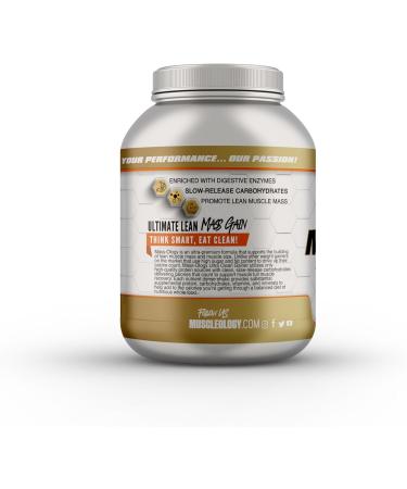 Buy Weight Gainer Whey Protein Powder - Muscle Builder for Men & Women - Vanilla Flavor 7.8 lbs - International Shipping Available - Buy Online on GoSupps.com