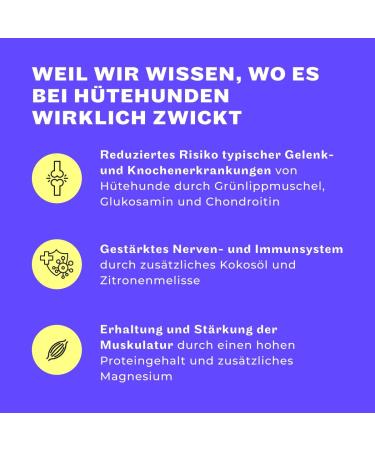 Premium Dry Dog Food - Hey Holy Happy Herder - 40% Chicken Cereal Free 7kg - Ideal for Adult Herding Dogs - Buy Online on GoSupps.com