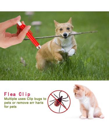 PKQtop Tick Remover Set for Dogs & Cats - 3 Pack Safe Tick Tweezers for Quick Removal | Ideal for Pets & People - Buy Online on GoSupps.com