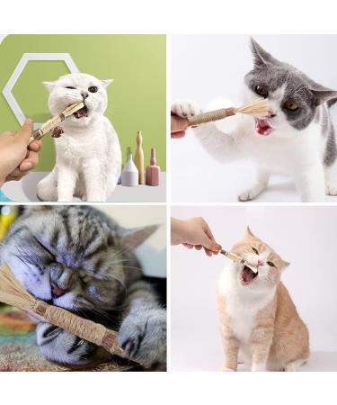 Tuibeidamai Matatabi Cat Sticks - 5-Piece Set for Tooth Cleaning & Chewing | Cat Mint Toys for Healthy Teeth & Fun Play - Buy Online on GoSupps.com