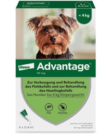 Elanco Advantage Spot-on 40 for Very Small Dogs - Quick Flea Control & Protection Up to 4 Weeks | 4 Pipets (0.4 ml) - Buy Online on GoSupps.com