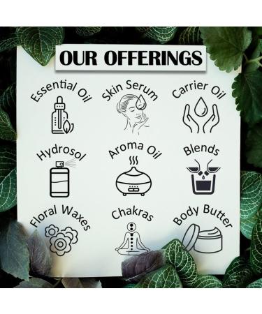Buy Pure Organic Moringa Oil - Cold Pressed 50ml | 100% Natural Moringa Oleifera for Skin & Hair - International Shipping - Buy Online on GoSupps.com