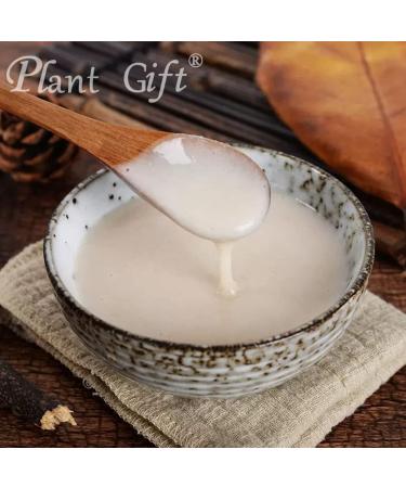 Plant Gift 100% Pure Oat Powder 100G/3.25oz Non-GMO Powder No Filler No additives Natural Oat Flour Great Flavor for Drinks Adds Flavor and Taste Baking Ingredients 2UK-PO0061 - Buy Online on GoSupps.com