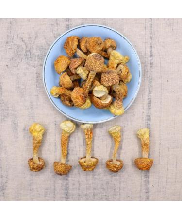 Zercumm Yunnan Agaricus Blazei 500G (17.6Oz) Dry Goods Brazil Mushroom Edible Fungus Mushroom Bulk Tricholoma Matsutake - Buy Online on GoSupps.com