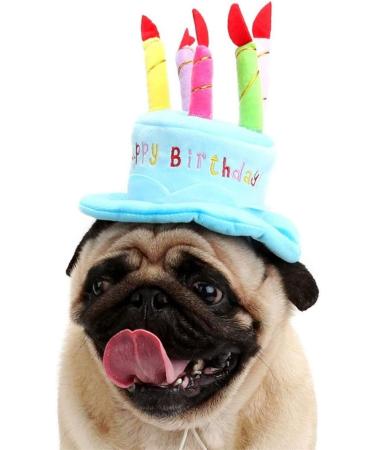 Cute Birthday Cake Hat for Pets with 5 Color Candles - Blue - Buy Online on GoSupps.com