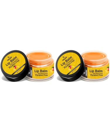 PRZX Mango Lip Balm Pack of 2 Nourishing & Moisturizing Lip Care for Dry Lips Smooth & Soft Finish Suitable for Men & Women 15g Each