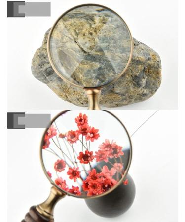 Reading Magnifier HD Magnifier 10X Made in China - Buy Online on GoSupps.com