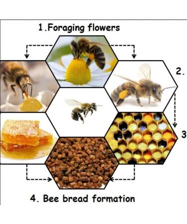 Zayti Moroccan Bee Bread 70 g no residues or additives fermented flower pollen Your Natural Elixir (70) - Buy Online on GoSupps.com