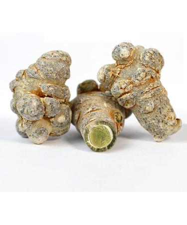 Panax Notoginseng Root Sanqi Organic Yunnan Pure Natural San Qi Tea Organic Radix Panax Notoginseng Sanqi Tian Qi or San Qi Herb Pure Natural Yunnan Panax Notoginseng San Qi Tienchi Root (500 Grams) - Buy Online on GoSupps.com
