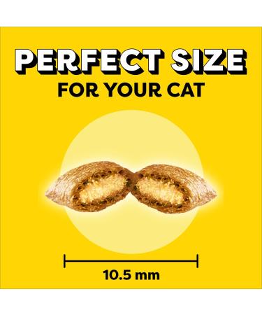 TEMPTATIONS Adult Cat Treats Seafood Medley Flavour 454g Tub Cat Treats Seafood 454 g (Pack of 1) - Buy Online on GoSupps.com