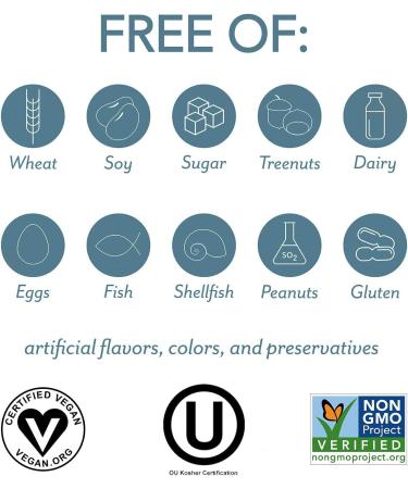 PlantFusion Complete Lean Plant Based Protein Powder - Prebiotic Fiber Superfoods & Digestive Enzymes - Vegan Gluten Free Soy Free Non-GMO - Vanilla 1.85 lb Vanilla 1.85 Pound (Pack of 1) - Buy Online on GoSupps.com