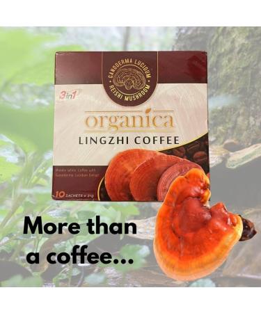 Ganoderma Reishi Lingzhi Mushroom Coffee Powder - 20x 25g - Buy Online on GoSupps.com