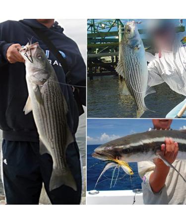 Assorted Bucktail Jigs & Flukes Fishing Lures Kit for Striped Bass Walleye Snook Rockfish Redfish - 3 Pack 2oz (56g) - Buy Online on GoSupps.com