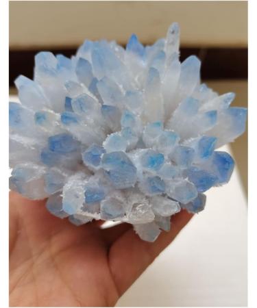 Rare Beautiful Blue Ghost Phantom Quartz Crystal Cluster Specimen Decoration Crystal Cluster (Size : 400-500 g) - Buy Online on GoSupps.com