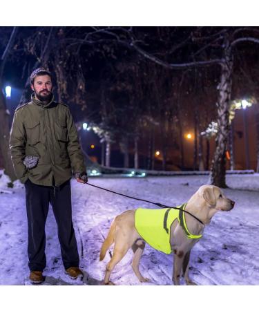 Reflective Safety Vest for Dogs | Adjustable Fluorescent Orange Warning Vest with Velcro Fastener - Enhanced Night Safety - Buy Online on GoSupps.com