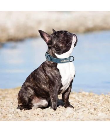 Didog Personalized Leather Dog Collar with Engraved Name Tag - Soft & Padded for Small & Medium Dogs 33-40 cm - Custom Blue - Buy Online on GoSupps.com
