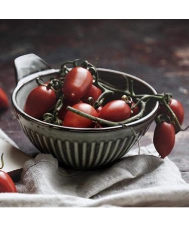 Grey Single Ear Bowl 5 Inch Thread Bowl Retro Ceramic Household Noodle Bowl Eating Bowl Creative Sauce Bowl Dessert Bowl Salad Bowl Gift Kitchenware 12.7*6*5.8cm Gray - Buy Online on GoSupps.com