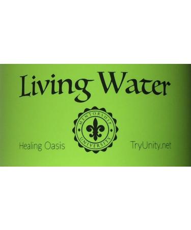 Living Water Molecular Hydrogen Alkaline Thermos 16oz - Infrared & Magnetic Energy No Electricity Antioxidant & Chlorine Removal - Buy Online on GoSupps.com