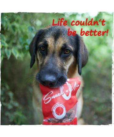 Buy Snackomio Premium Dog Snacks - Juicy Grain-Free Chicken Meat Cubes 125g - Healthy Treats for Dogs - Buy Online on GoSupps.com