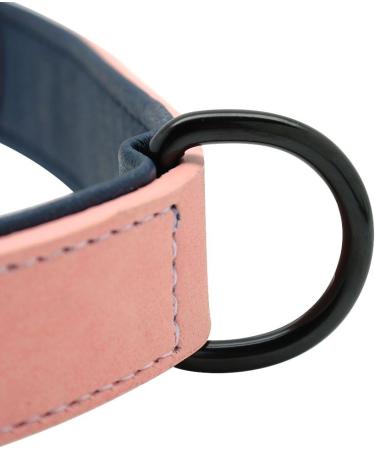 Didog Custom Pink Dog Collar - Soft Padded Leather with Engraved Nameplate | D-Ring for Small & Medium Dogs (40-50cm) - Buy Online on GoSupps.com