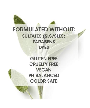 SEVEN Satara Volume Conditioner 10.7 Fl Oz - Boost Volume & Shine - International Shipping Available - Buy Online on GoSupps.com