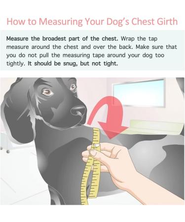 Pupreme ChoChoCho Dog Hoodie | Fashionable Gray Dog Sweater | Stylish Pet Clothing for Small to Large Dogs - Buy Online on GoSupps.com