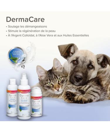 BEAPHAR - DERMACARE - Repairing Cream for Dogs and Cats - With Colloidal Silver Aloe Vera Shea Butter & Essential Oils - Relieves Itching - Promotes Healing - 200ml - Buy Online on GoSupps.com