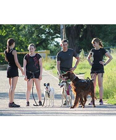 Trekking Belt by Nonstop | Running & Jogging Belt for Dogs (M Blue) - Ideal Hiking Accessory - Buy Online on GoSupps.com