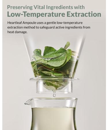 Heartleaf Low pH Deep Foam Cleanser - Gentle Sebum Removal & Deep Pore Cleanser with Houttuynia Cordata & Hyaluronic Acid - Soothes Sensitive Skin - 5.29oz - Buy Online on GoSupps.com