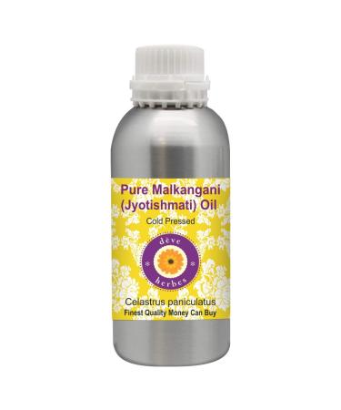 Dev Herbes Pure Malkangani (Malkangni/Jyotishmati) oil (Celastrus paniculatus) natural therapeutic quality cold -pressed 300ml (10 oz) 300 ml (1 Pack)