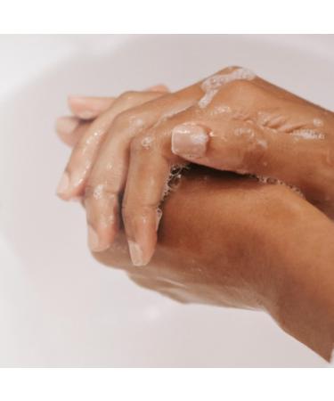  Lida Lida - 100% natural liquid hand soap with glycerin and aloe vera | Hand gel | Deep cleanses and moisturizes all skin types | Traditional preparation - 250ml - Buy Online on GoSupps.com