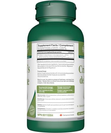 VORST Lion's Mane 120 Vegan Capsules and Ginkgo Biloba 90 Capsules | Combo Bundle 2 x 2 Bottles - Buy Online on GoSupps.com