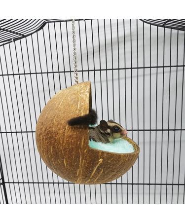 Violotoris Hanging Coconut Shell Bird Nest House Bed Natural Random Color Cushion Birdhouse Bird Hut Breeding Place Toy For Bird - Buy Online on GoSupps.com