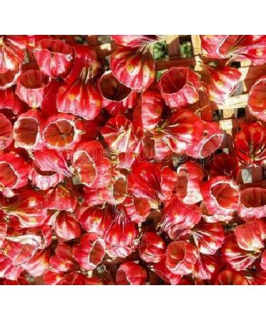 Natural Code - Dried Luo Shen Hua 227g/(1/2 lb) - Hibiscus Sabdariffa - Luo shen hua - - Non GMO - Vegan - No Preservatives or Additives - 100% Natural - Buy Online on GoSupps.com