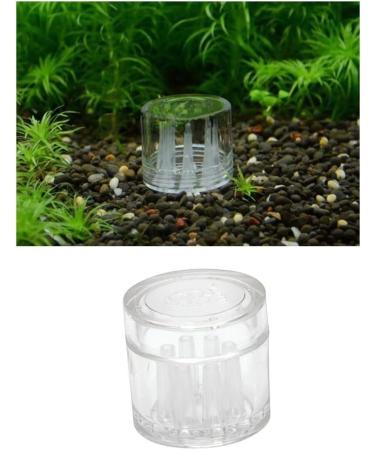 YYWEi 3 PCS Planaria Trap Clear Crystal Glass Worm Catch Pen Shrimp Leeches Catcher Worm Catcher Double and Three Holes + 8 Holes Planarians Trapper - Buy Online on GoSupps.com