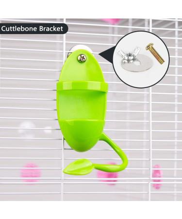 Cuttlebone 2 Pack Large Cuttlefish Bone with Holder for Birds Cockatiels Parakeet Turtles Tortoise Snails (Color AB) green - Buy Online on GoSupps.com