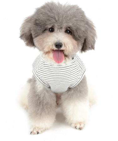 Shop Zweitea Striped Dog T-Shirts | Soft Cotton Summer Vests for Small Dogs & Cats | Perfect for Chihuahuas | XL Size Available - Buy Online on GoSupps.com