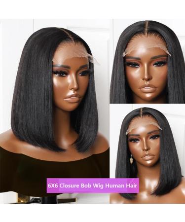 Buy 12-Inch Bob Wig - HD Transparent Lace Front Human Hair Wigs for Women | 6X6 Closure 150% Density Pre-Plucked Glueless Baby Hair - Black - Buy Online on GoSupps.com
