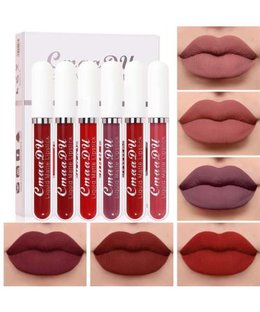 6Pcs Matte liquid lipstick Set Dark Red Matte Lipstick Lip Stain Long Lasting 24 Waterproof Lip Gloss Gift Set  Lipstick Sets for Women Lippies Lip Matte Makeup Lipgloss Beauty Cosmetics (Color-04)