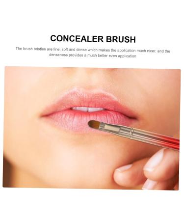 Buy 2pcs Portable Double Ended Lip Brush - Retractable Makeup & Concealer Brush for Perfect Lips | Versatile Cosmetic Tool - Buy Online on GoSupps.com